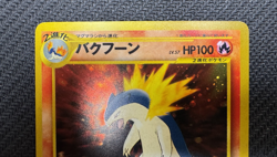 Pokemon Typhlosion Neo Genesis Premium File Japanese 157 - Image 3
