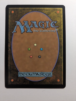 The Walls of Ba Sing Se 0261 Avatar: The Last Airbender NM MtG - Image 2