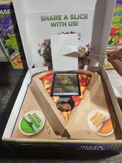 TMNT Pizza Box Bundle MTG Teenage Mutant Ninja Turtles BOX DICE 25 Land Cards - Image 3