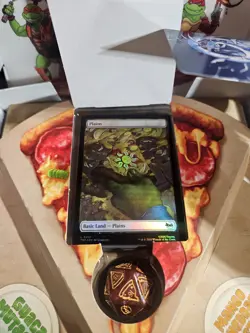 TMNT Pizza Box Bundle MTG Teenage Mutant Ninja Turtles BOX DICE 25 Land Cards - Image 4