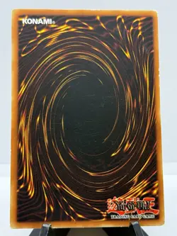 Blue-Eyes Toon Dragon Yugioh Card SDP-020 - Image 2