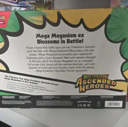 Pokemon TCG Mega Evolution Ascended Heroes Mega Meganium ex Box Promo 2026 - Image 2