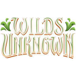 Disney Lorcana Trading Card Game Wilds Unknown Booster Box (Sent Sealed) - Image 5