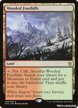 Wooded Foothills [KTK - 249] - NM TCG MTG - Image 1
