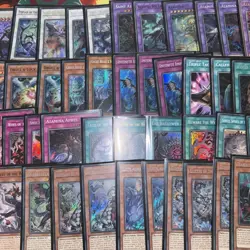 Yu-Gi-Oh White Forest Azamina Deck Core - Ready to play! 40+ Card - Staples! - Image 3