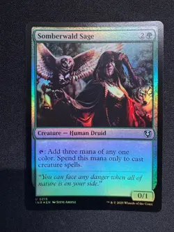 SOMBERWALD SAGE FOIL - Magic: The Gathering - Argyle NM/M - Image 1