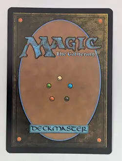 Shattered Sanctum (Borderless) (303) Secrets of Strixhaven Mtg NM - Image 2