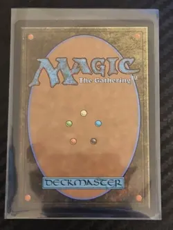 Scattershot Archer - Conflux - MTG - Image 2
