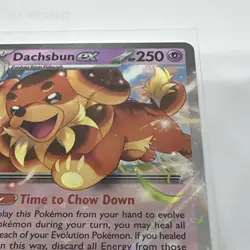 Pokemon TCG 067/142 Stellar Crown Dachsbun EX Card - Image 5