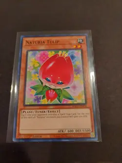 Yu-Gi-Oh! TCG Naturia LOT First Edition - Image 2