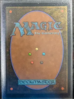 Shivan Reef - Foil Borderless - Dominaria United (MTG) - Image 2