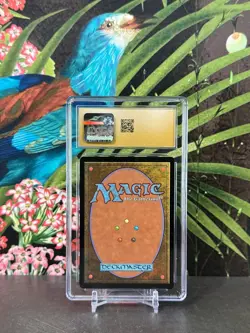 Rhystic Study (CGC PRISTINE 10) - Confetti Foil - MTG WOE: Enchanting Tales - Image 4
