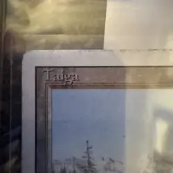 MTG Magic the Gathering Taiga Revised Edition Dual Land - Image 1
