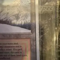 MTG Magic the Gathering Taiga Revised Edition Dual Land - Image 4