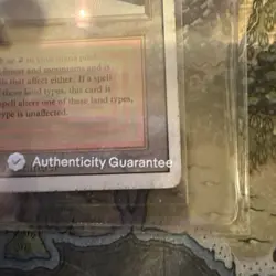 MTG Magic the Gathering Taiga Revised Edition Dual Land - Image 5