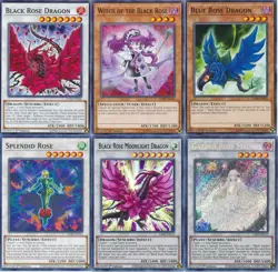 Yugioh Akiza 2024 Deck - Garden Rose Maiden - Black Rose Dragon - 44 Cards NM - Image 1