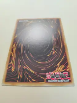 Red Eyes Toon Dragon LDS1-EN066 Common 1st Edition LP - Image 5