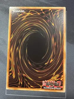 Toon Harpie Lady TOCH-EN002 - Collector's Rare - 1st Edition NM Yugioh - Image 2