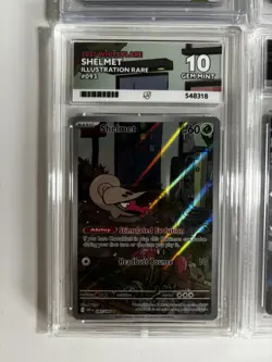 Pokemon Graded Card Slab (PSA, ACE…) Mystery graded slab - Image 5