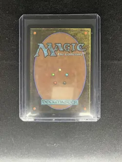 Forest (Chocobo Track Foil) Commander: Final Fantasy Foil MTG 0482 NM - Image 2
