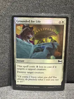 Grounded for Life Teenage Mutant Ninja Turtles Foil - Image 1