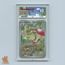 Flapple 210/191 Illustration Rare – Surging Sparks | ACE 10 | Graded Pokemon TCG - Image 1