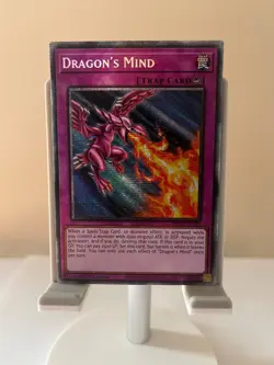 Dragon's Mind (Starlight Rare) - Rarity Collection 5 1st Edition - Yugioh NM - Image 1