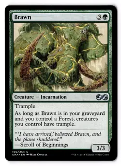 Brawn 160 Ultimate Masters NM - Image 1