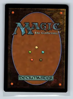 Magic the Gathering - MTG - AFR - Plains - 262 - Foil - Image 2
