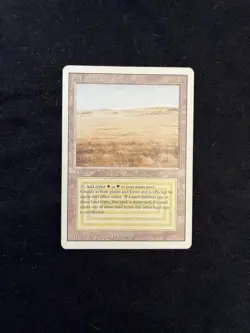Magic the Gathering Savannah Revised NM - Image 1