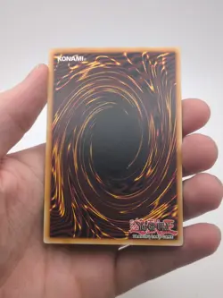 LP | Consecrated Light ABPF-EN033 Absolute Powerforce - Image 2