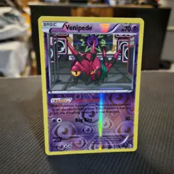Venipede Pokemon TCG B & W Boundaries Crossed Reverse Holo Common Card #72/149 - Image 1
