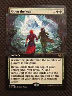 Open the Way - Extended Art - MAT - #163 - NM - Image 1