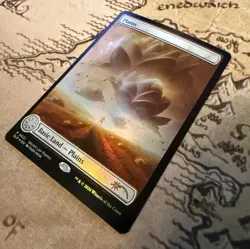 Magic MTG Plains MagicCon Foil Borderless Lotus Secret Lair Promo SLP 0031 NM - Image 4