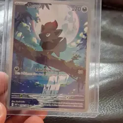 Pokemon TCG Zorua 142/086 SV: White Flare Holo Illustration Rare Basic 70HP 30 - Image 1