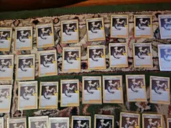 Pokemon Celebrations Lot of 65 Professors Research Cards. Comes In Soft Sleeves - Image 3
