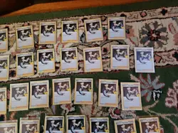 Pokemon Celebrations Lot of 65 Professors Research Cards. Comes In Soft Sleeves - Image 4