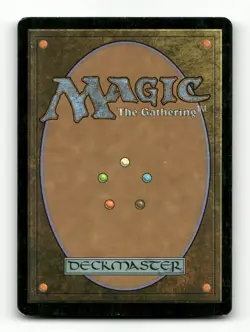Soul Warden Magic 2010 (M10) #34 Common - Image 2