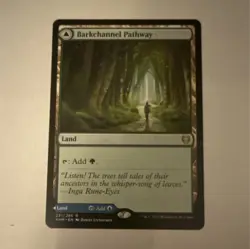 Magic: The Gathering Kaldheim Barkchannel Pathway & Tidechannel Pathway - Image 1