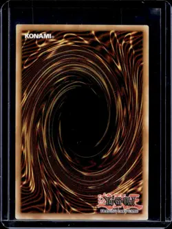 2020 Yu-Gi-Oh Mariamne Paradox, the True Dracophoenix Knight First #DOOD-EN019 - Image 2