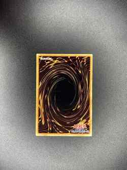 Yu-Gi-Oh! B Dragon Jungle King - Series 1 - Volume 7 - Japanese - 89832901 - NM - Image 4
