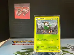 Pokemon Skiddo XY11 Black Star Promo SWIRL - LP- - Image 1