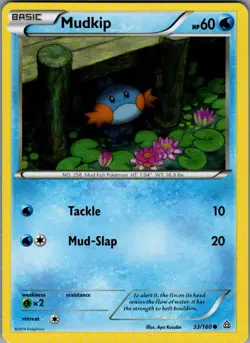 Mudkip - (Sheen Holo) Promo Miscellaneous Cards & Products 033/160 NM - Image 1