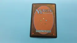 FOIL DEADLY RECLUSE M10 CORE SET 2010 MAGIC THE GATHERING MTG NM / UNPLAYED - Image 2