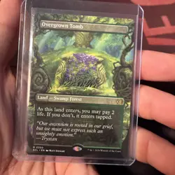 Overgrown Tomb (Borderless) Lorwyn Eclipsed Regular - Image 2