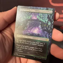 Overgrown Tomb (Borderless) Lorwyn Eclipsed Regular - Image 3