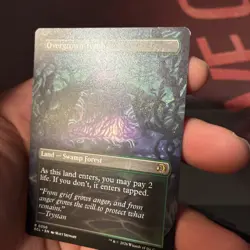 Overgrown Tomb (Borderless) Lorwyn Eclipsed Regular - Image 4