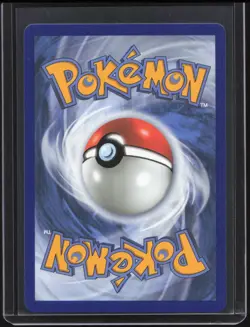 2025 Pokemon MEP Black Star Promos Squirtle #039 NM - Image 2