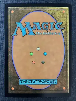 MTG Murders at Karlov Manor #326 Hedge Maze (Borderless) FOIL NM - Image 2