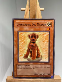 Outstanding Dog Marron - DCR-062 - NM - YuGiOh - Image 1